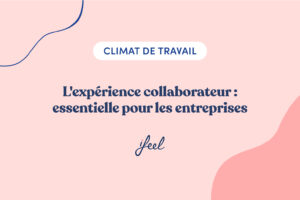 expérience collaborateur