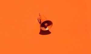 Corporate reputation