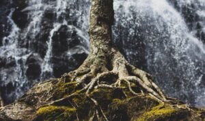 empowerment in the workplace